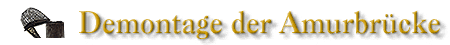 Demontage der Amurbrücke